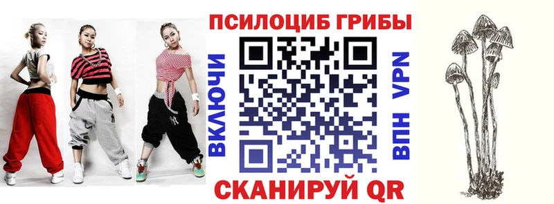 цена наркотик блэк спрут как войти Галлюциногенные грибы GOLDEN TEACHER Спасск-Рязанский